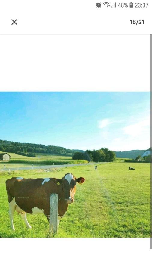4 Erw. 1 Ki. Ski Entspannung Terasse Ausblick Schmallenberg Exterior foto
